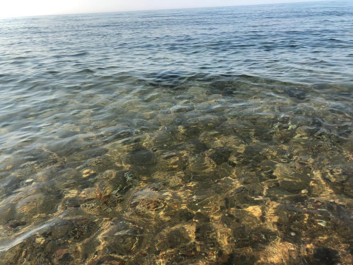 Morski Las Ustronie Morskie Bagian luar foto