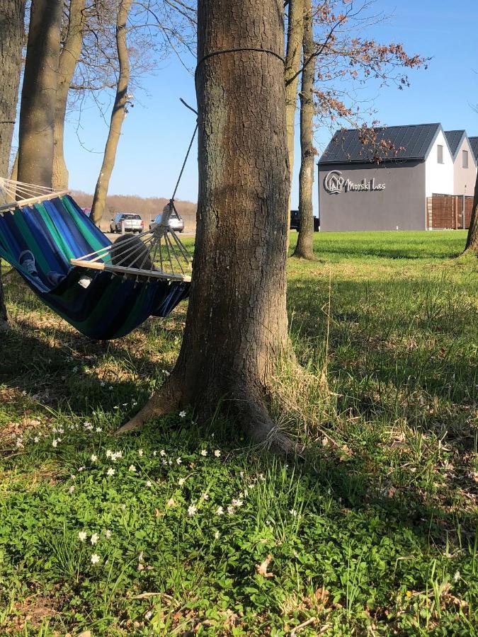 Morski Las Ustronie Morskie Bagian luar foto